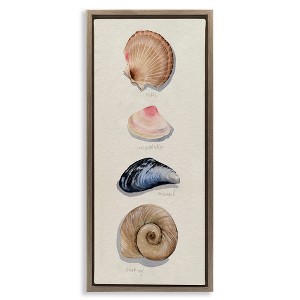 Stupell Industries Traditional Nautical Sea Shells, 11" x 25" - 1 of 4