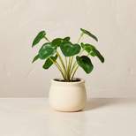 7" Mini Faux Pilea Plant - Hearth & Hand™ with Magnolia