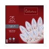 Celebrations Incandescent C9 Clear 25 ct White Wire String Christmas Lights 24 ft. - 2 of 2