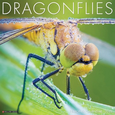 2022 Wall Calendar Dragonflies - Willow Creek Press