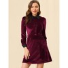 INSPIRE CHIC Women's Contrast Collar A-Line Fit and Flare Vintage Velvet Dress - 2 of 4