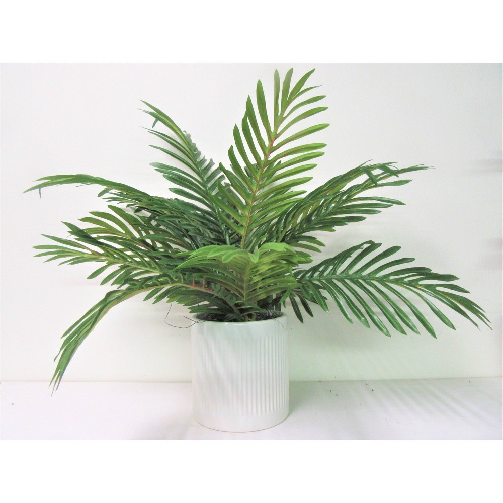 Photos - Garden & Outdoor Decoration 19" x 18" Artificial Phoenix Palm Plant in Ceramic Pot White - LCG Florals