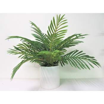 19" x 18" Artificial Phoenix Palm Plant in Ceramic Pot White - LCG Florals