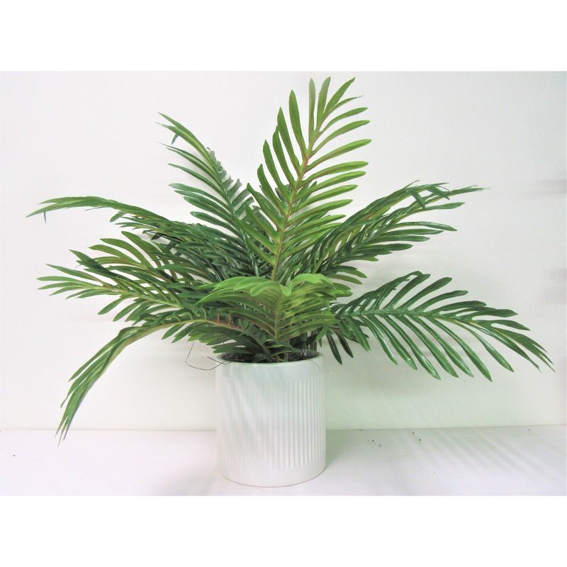 19&#34; x 18&#34; Artificial Phoenix Palm Plant in Ceramic Pot White - LCG Florals, 1 of 5
