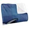 Daemen University Campus Plaid Spirit Silky Touch Super Soft Throw Blanket 50x60 - 3 of 4