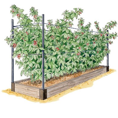 Raised Garden Bed, Raspberry Bed Kit - GARDENER'S SUPPLY CO.