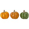 Northlight Fall Harvest Boxed Pumpkin Thanksgiving Decorations - Orange and Green - Set of 6 - 4 of 4