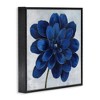 Stupell Industries Modern Deep Blue Floral Carnation, 24" x 24" - 3 of 4