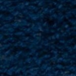 navy/white