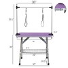 36" Heavy Duty Pet Grooming Table with Adjustable Arm and Clamps,Dog Drying and Trimming Table for Large and Medium Pets–LAOTIES - 2 of 4