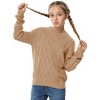 Girls Pullover Sweater Cable Knit Crew Neck Long Sleeve Sweater Knit Tops,Camel - XL - 3 of 4