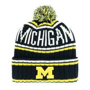 NCAA Michigan Wolverines Saskatoon Knit Beanie - 1 of 2