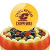 Central Michigan University Chippewas Acrylic Cake Topper Party Decoration for Wedding Anniversary Birthday Graduation - 4 of 4