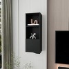 GlasFlength Decorative Storage Cabinets Accent Storage Cabinet Pima Wall Cabinet Wall Storage Shelf With 1 Door for Room, Black, 13.4"*16.1"*43.3" - 3 of 4