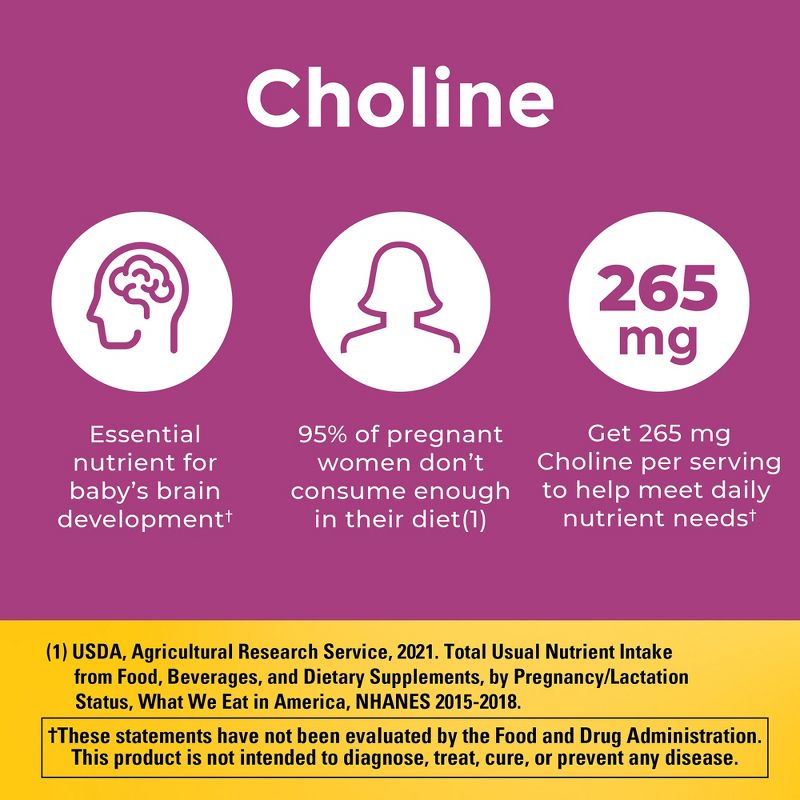Nature Made Prenatal + Choline Softgel Capsule - 120ct, 6 of 12