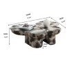 47.2" Modern Irregular Butterfly Coffee Table, Black and Beige Fiberglass Accent Table for Living Room or Office -3irtyhousy - 4 of 4