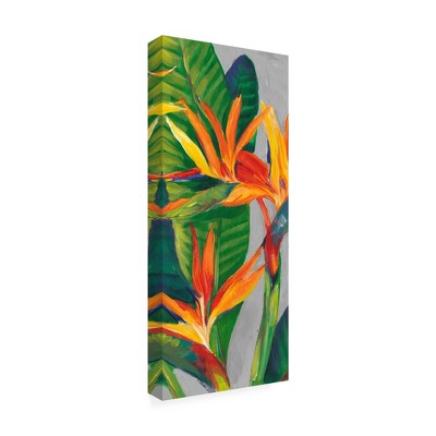 Trademark Fine Art -Tim Otoole 'Bird Of Paradise Triptych Ii' Canvas Art
