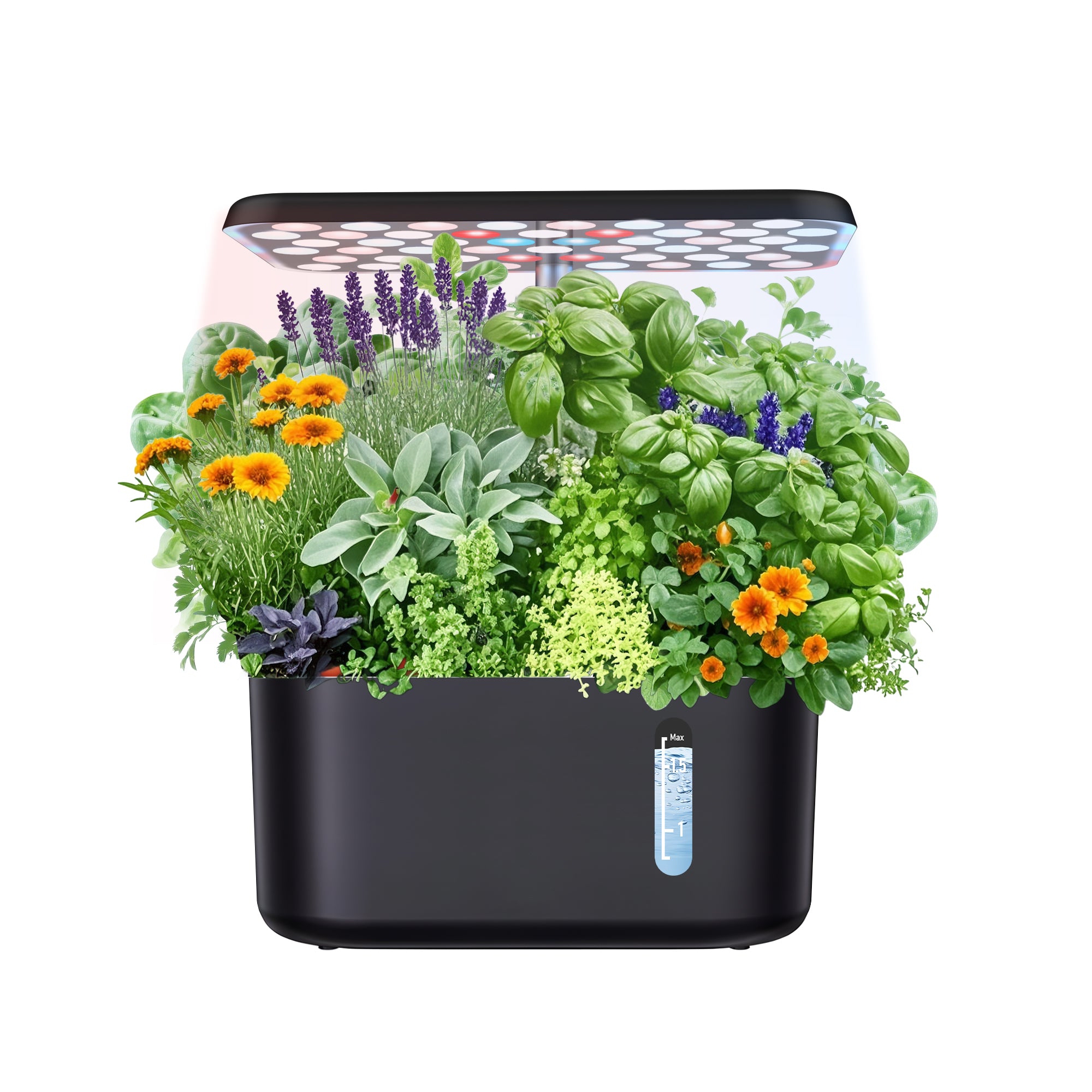 Sonicgrace 5-Pod Indoor Hydroponic Garden growing system with LED Grow Light - Black