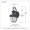 Newbury 1-Light Outdoor Wall Lantern - 3 of 3