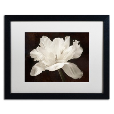 White Tulip I Framed Canvas Art with Black Frame
