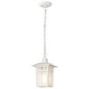 Nuvo Lighting Cove Neck 1 - Light Pendant in  White - 2 of 4