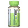 Solaray True Herbs, Oregon Grape, 400 mg, 100 VegCaps - 3 of 4