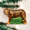 Old World Christmas Glass Blown Ornament for Christmas Tree, Tiger (With OWC Gift Box) - 2 of 4