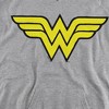 Boys’ DC Wonder Woman Logo Hooded Sweatshirt - 2 of 4