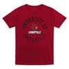 NCAA Louisville Cardinals Toddler Boys' 2pk T-Shirt - 3 of 3