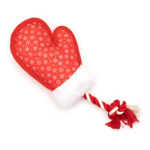 The Worthy Dog Tough Mittens Toy - 1 of 3