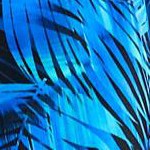 blue electric palm