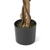 PAGED Artificial Ficus Trees with Pot, Artificial Tree with Natural Wood Trunk, Indoor Outdoor Fake Plant, Home and Office Decoration for Foyer, Porch - 3 of 4