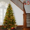 6' Prelit Canadian Grande Fir Artificial Christmas Tree White Lights - National Tree Company - 2 of 3