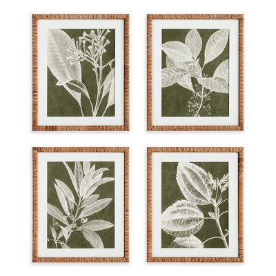 Plum & Post Translucent Stem Prints, Set Of 4