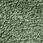 Deep Fern