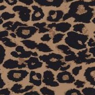 leopard printed