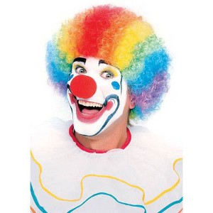 Dress Up America Colorful Clown Wig for Adults - One Size Fits Most - 1 of 1