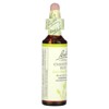 Bach Original Flower Remedies, Chestnut Bud, 0.7 fl oz (20 ml) - 3 of 3