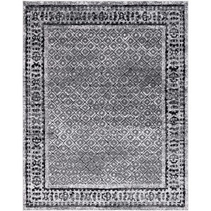 Adirondack ADR110 Machine Made Indoor Rug - Safavieh - 1 of 4