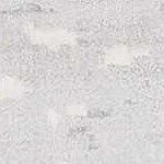 charcoal, gray, mustard, blue, light gray, off white