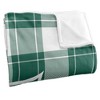 Stetson University Campus Plaid Spirit Silky Touch Super Soft Throw Blanket 50x60 - 3 of 4