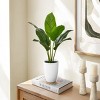 GlasFlength Artificial Plants Small Fake Plants Artificial Grass Plants Faux Plants for Indoor Home Table Decor, Green, 17"*16"*17" - 2 of 4