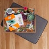 shanasart Tipsy Cowgirl Tan Rectangular Tray - Deny Designs - 2 of 2