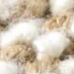 ivory, sandstone, taupe