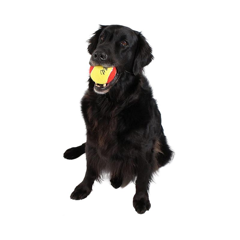Midlee 3 Inch Large Tennis Balls for Dogs, Pack of 4 Durable Toy Balls, 3 of 7