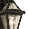 Troy Lighting Geneva 1 - Light Wall Light in  Bronze Clear Seeded Shade - 2 of 4