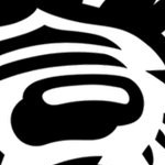 north carolina state wolfpack