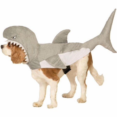 Dog deals shark costume