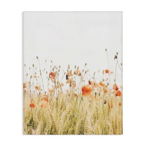 Stupell Industries Poppy Field Photography, 30" x 40" - 1 of 4