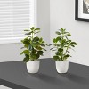 SEVOBAL Planters Set of 2 Artificial Ficus Plants 14" Tall in White Pots with Green Leaves for Indoor Decor, Green, 10"*9"*14" - 4 of 4
